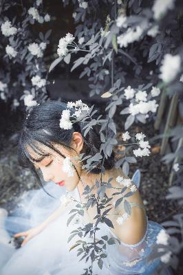 免费高清在线观看